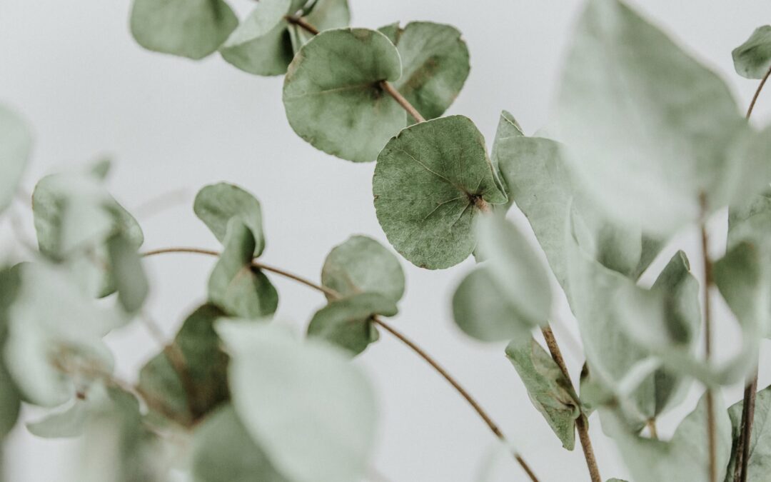 Contre-indications Reflexologie plantaire